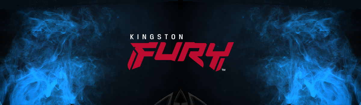 Partnership with Kingston FURY